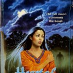 cover of Heart of the Hunter by R L Stine shows an Indian woman being stalked by a shadowy figure in the fog, with the head of a wolf in the clouds, under a full moon