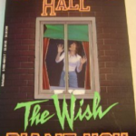 cover of The Wish by Diane Hoh has a woman behind a window with the title in green font