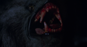 Let's talk about “An American Werewolf In London” 1981 : r/werewolves